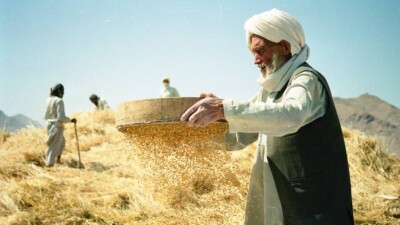 Посол России в Афганистане: Талибы побороли коррупцию в стране