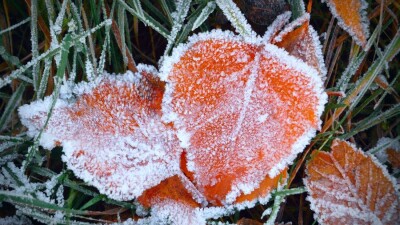 Прогноз погоды на 8 сентября: ночные заморозки на почве ожидаются на севере и западе Казахстана