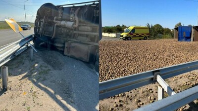 Картофелем засыпало трассу в Павлодаре