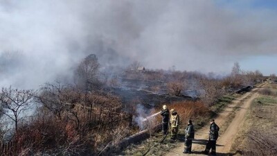 В Павлодаре за один день сгорели более 300 дачных участков, один человек погиб