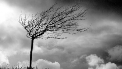 Прогноз погоды на 3 февраля: усиление ветра ожидается на западе Казахстана