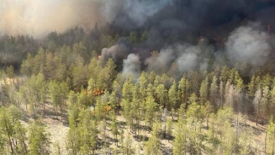 Пожар в лесу Абайской области: в огне 2000 га, на подмогу едут спасатели из трёх регионов