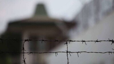 Почти 500 заключённых помиловал президент Узбекистана