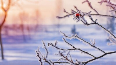 Прогноз погоды на 10 февраля: морозы усилятся на севере Казахстана