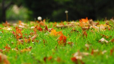 Прогноз погоды на 6 сентября: понижение температуры ожидается на юге Казахстана