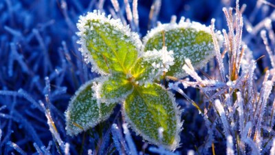 Прогноз погоды на 8 сентября: на севере и западе Казахстана ожидаются ночные заморозки