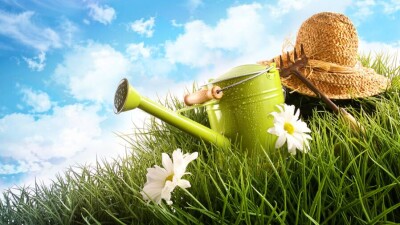 Прогноз погоды на 12 июня: сильная жара сохраняется на юге Казахстана