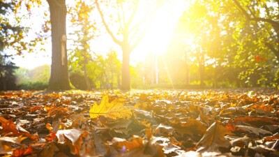 Прогноз погоды на 8 октября: сухо и тепло будет в Казахстане