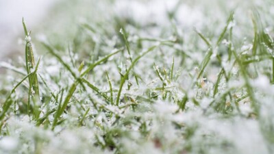 Прогноз погоды на 2 октября: на большей части Казахстана ожидаются ночные заморозки