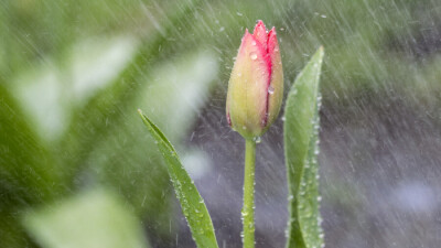 Прогноз погоды на 30 апреля: гроза с градом ожидается на юге Казахстана