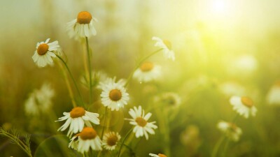 Июнь будет жарче, чем обычно на 1-2 градуса. "Казгидромет" представил прогноз погоды на месяц