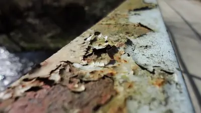 Полицейские спасли подростка, пытавшегося спрыгнуть с моста в Талдыкоргане