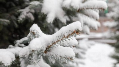 Прогноз погоды на 30 декабря: снег ожидается в Алматы, в 10 регионах объявили штормовое предупреждение