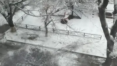 Трагедия из-за непогоды в Шымкенте: упавшая ветка дерева насмерть придавила 10-летнего ребёнка