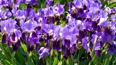 Прогноз погоды на 29 мая: сильная жара ожидается на западе Казахстана