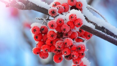 Прогноз погоды на 27 ноября: морозы до 35 градусов ожидаются в Казахстане