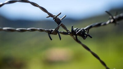 Литва остановила возведение забора на границе с Беларусью из-за нехватки колючей проволоки