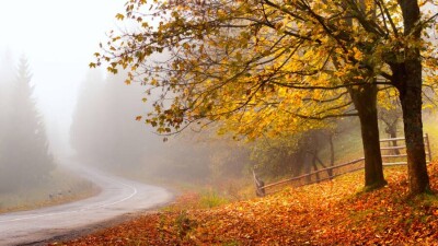 Прогноз погоды на 23 октября: низовая метель, гололёд, туман ожидаются на востоке и в центре Казахстана