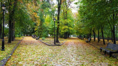 Прогноз погоды на 19 сентября: потепление днём ожидается в большинстве регионов страны