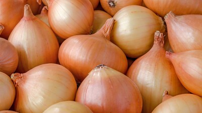 Казахстан приостановил экспорт лука для стабилизации цен