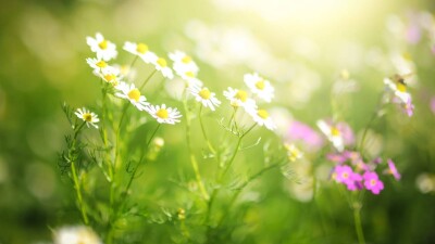 Прогноз погоды на 1 августа: до 35 градусов жары ожидается в Астане