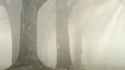 Прогноз погоды на 3 апреля: туман ожидается на большей части Казахстана