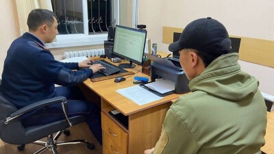 Житель Конаева насмерть забил бездомную кошку