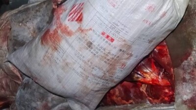 12 косуль застрелили браконьеры в Павлодарской области