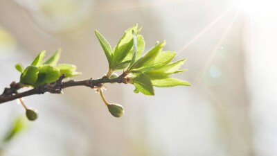 Прогноз погоды на 21 апреля: ночью на севере, востоке и в центре страны ещё мороз, но днём везде тепло
