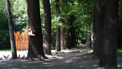 Благоустройство рощи Баума в Алматы: сколько аварийных деревьев там насчитали