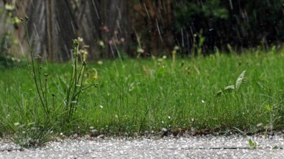 Прогноз погоды на 11 июля: дождь, гроза и град ожидаются в Алматы и семи областях Казахстана