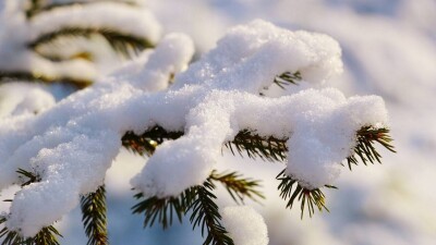 Прогноз погоды на 28 января: снег и низовая метель ожидаются на севере и местами на западе страны