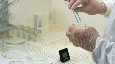 У погибших на побережье Каспийского моря тюленей не обнаружили инфекций