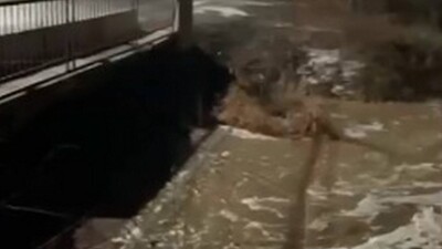 Несколько участков дороги Алматы – Хоргос едва не размыло талой водой