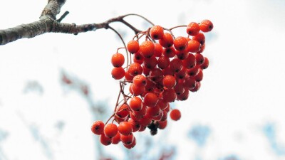 Прогноз погоды на 18 ноября: осадков не ожидается на большей части Казахстана