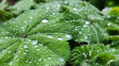 Прогноз погоды на 7 июня: гроза, град и шквальный ветер ожидаются на севере и западе Казахстана