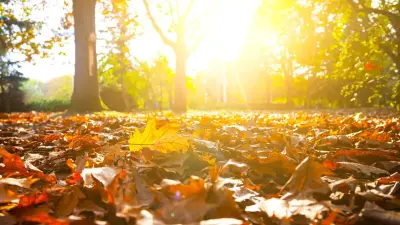 Прогноз погоды на 15 ноября: до +20 градусов ожидается на юге Казахстана