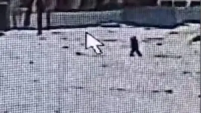 Просидел шесть часов под землёй: камеры помогли найти пропавшего ребёнка в Абайской области