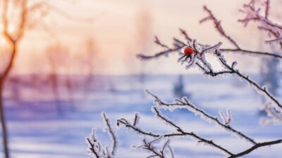 Прогноз погоды на 9 марта: до 27 градусов мороза ожидается на севере Казахстана