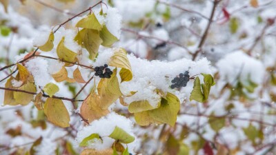 Метели, сильные дожди и мороз до -24 градусов: какая погода будет в ноябре