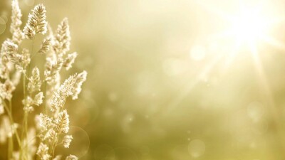 Прогноз погоды на 11 августа: понижение температуры ожидается на севере и в центре Казахстана