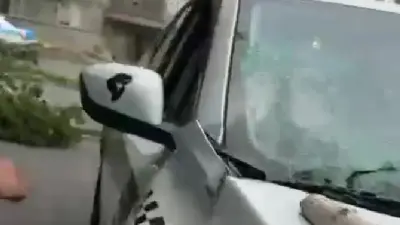 Ветка упавшего дерева насмерть проткнула женщину в Аксу