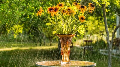 Прогноз погоды на 10 августа: дожди ожидаются на востоке и местами на севере страны