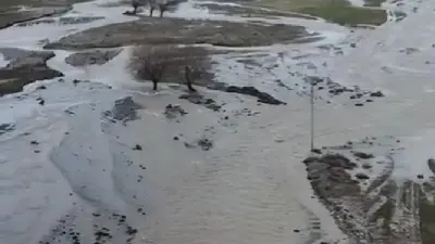 Дорогу размыло в зоне отдыха в Туркестанской области, людей пришлось эвакуировать