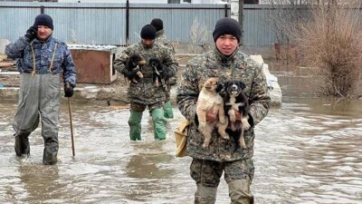 Лишь 19% площади Казахстана находится под снегом. Где ожидается сильное таяние