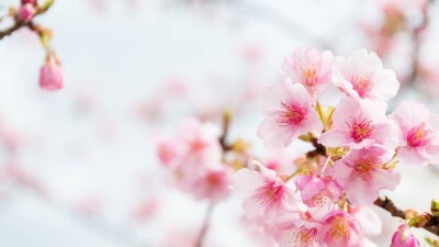 Прогноз погоды на 5 апреля: до +32 градусов ожидается в Кызылординской и Туркестанской областях