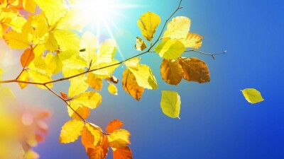 Прогноз погоды на 12 сентября: снижение температуры ожидается на юге страны