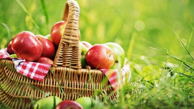 Прогноз погоды на 19 августа: жара ожидается на западе и юге страны, на севере и востоке местами дожди