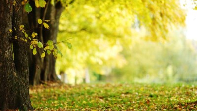 Прогноз погоды на 1 октября: похолодание ожидается на юге страны, на севере – гололёд и дождь со снегом