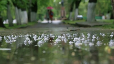 Прогноз погоды на 18 мая: почти по всей территории Казахстана ожидаются дожди, грозы, местами град